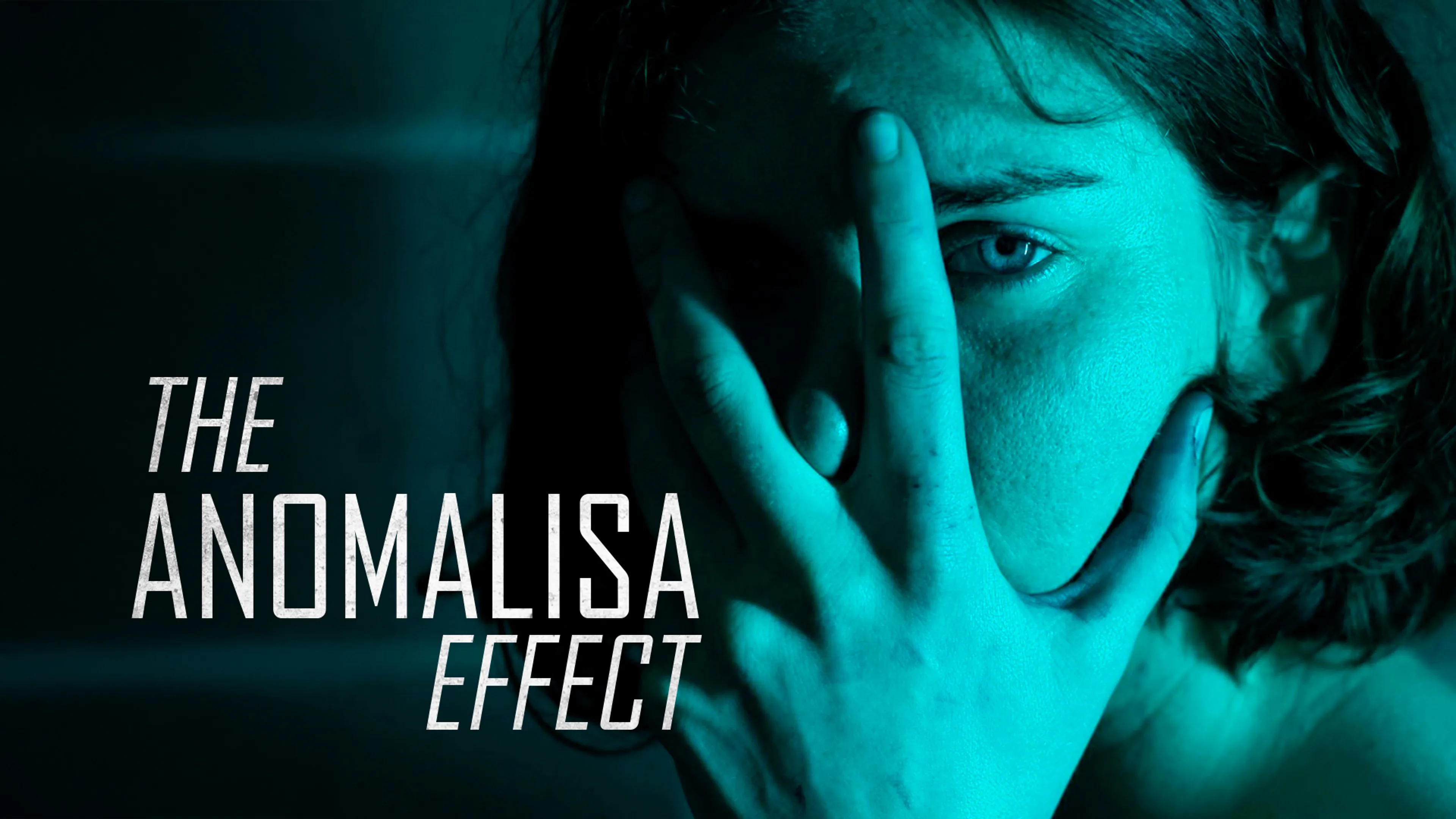 The Anomalisa Effect poster